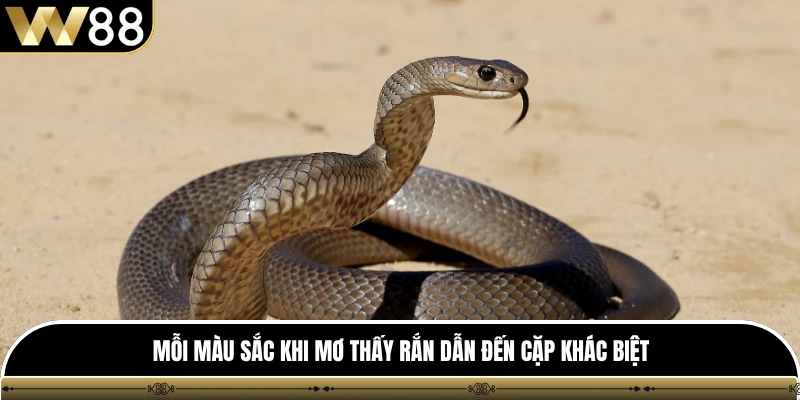Mỗi màu sắc khi mơ thấy rắn dẫn đến cặp khác biệt